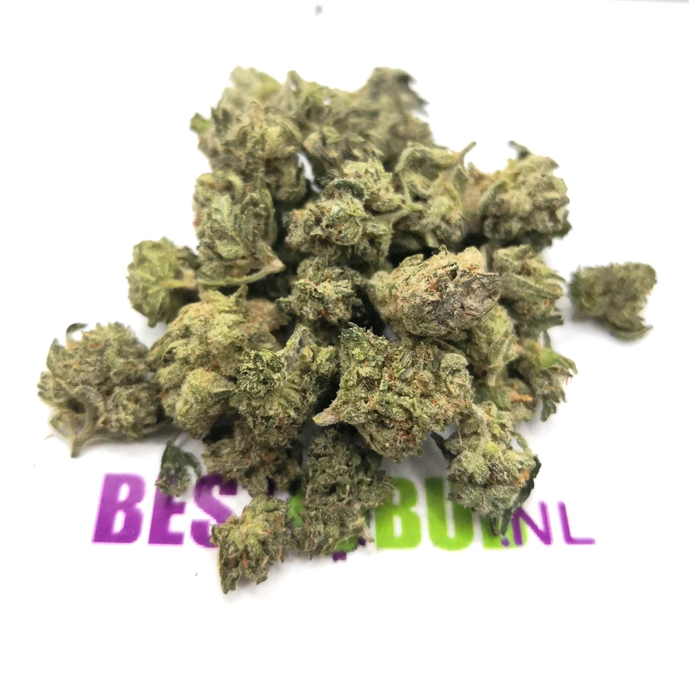 kosher kush 1 1