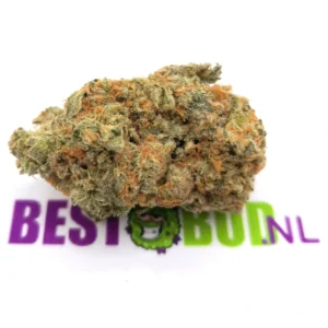 LA Confidential